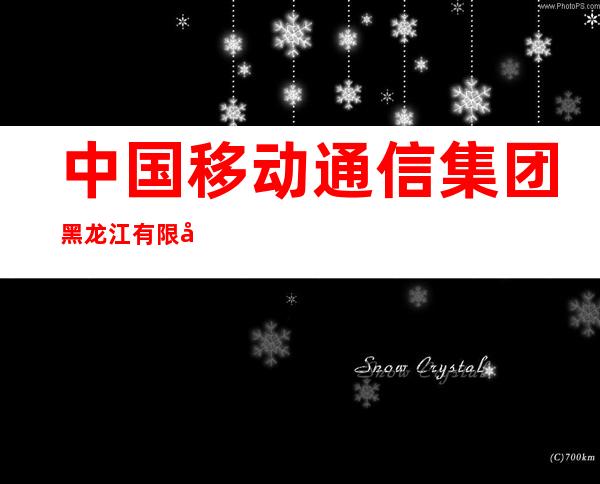 中国移动通信集团黑龙江有限公司金林区分公司